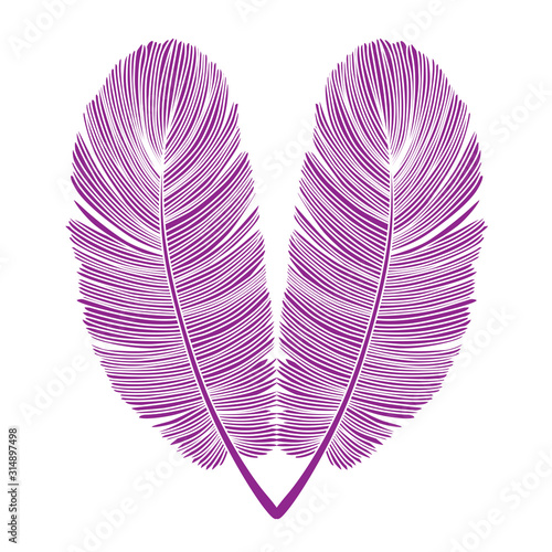 Purple Feather Heart Isolated Design on White