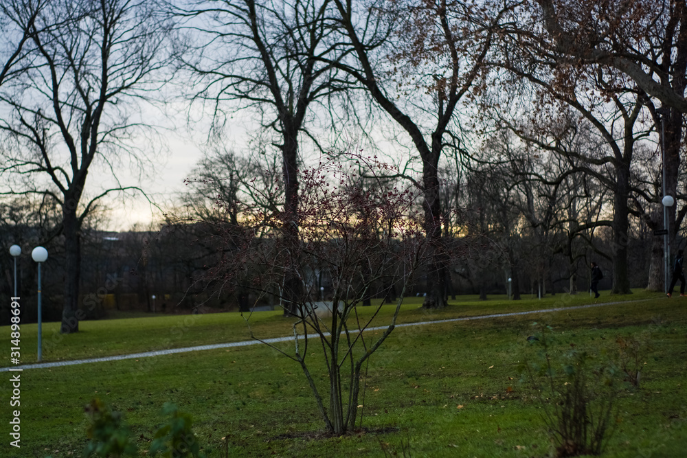 Green spring park with paths and bike paths. Infrastructure. Place for rest and entertainment. Nature. Background. Green spring park with paths and bike paths. Infrastructure. Place for rest and entertainment. Nature. Background.
