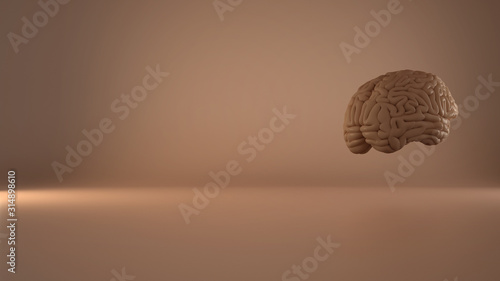 Schilderij op canvas Human floating brain on rosy background, human intelligence concept, anatomical accurate model