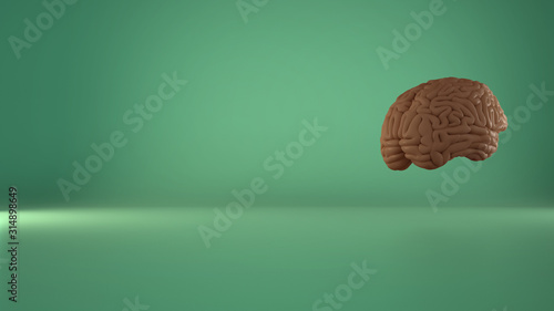 Photos Human floating brain on turquoise background, human intelligence concept, anatomical accurate model