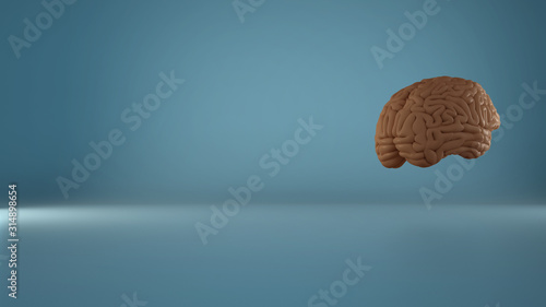 Photos Human floating brain on blue background, human intelligence concept, anatomical accurate model