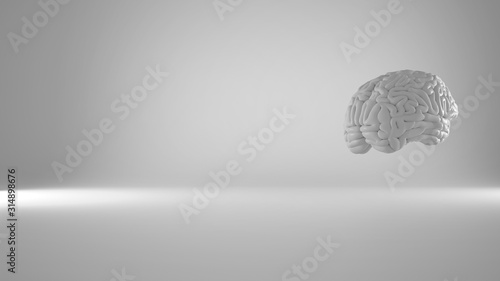 Foto Human floating brain on white background, human intelligence concept, anatomical accurate model