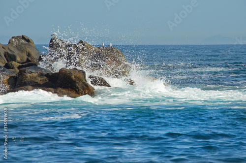 Russia. Far East  Kamchatka Peninsula. Along the coast of the Avacha Bay are scattered many rocky Islands inhabited by gulls and cormorants.