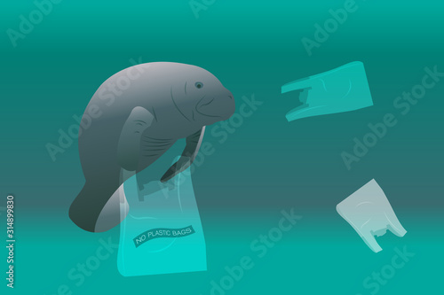 Manatee with plastic bag in water.