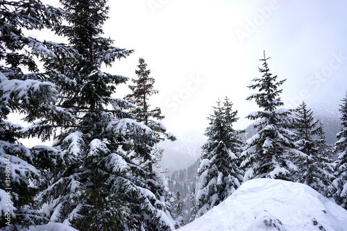 Zima w Tatrzańskim Parku Narodowym