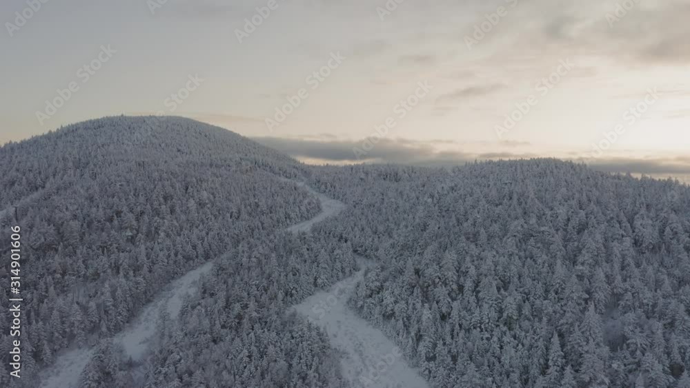 Old grown in ski trails wind around the top of a snow crusted mountain AERIAL Old grown in ski trails wind around the top of a snow crusted mountain AERIAL
