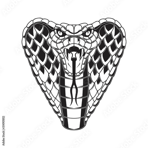 Illustration of cobra snake. Design element for logo, label, sign, emblem, poster. Vector illustration