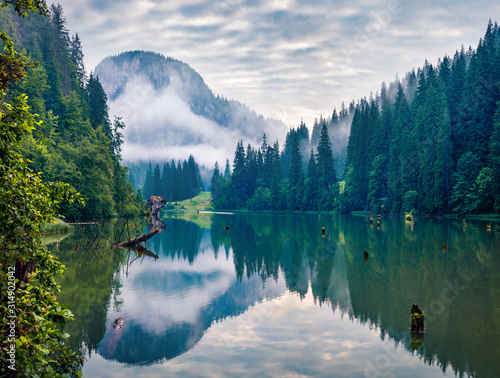 Fototapeta Naklejka Na Ścianę i Meble -  Stunning morning view of Lacu Rosu lake. Spectacular summer scene of Harghita County, Romania, Europe. Beauty of nature concept background.