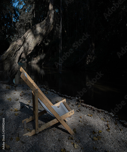 Chair in the virgin forest