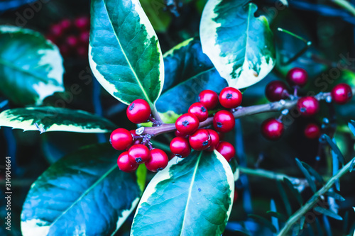 christmas decoration on red background