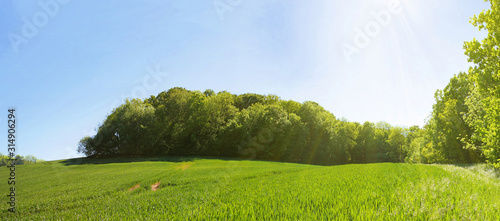 Fr  hsommerliche Sonne   ber weiter Landschaft  Panorama