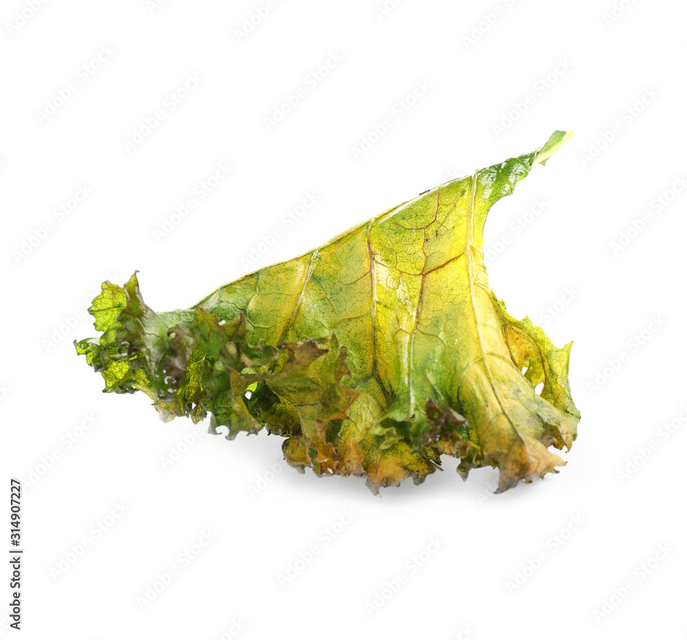 Fototapeta premium Tasty baked kale chip isolated on white