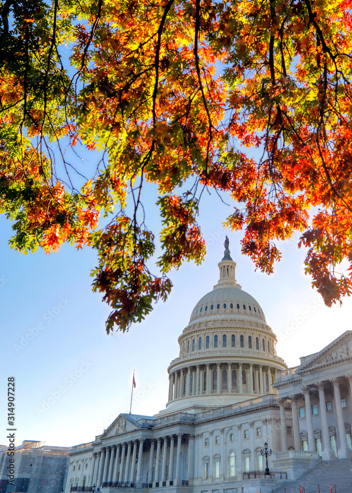 The United States Capitol Building in Washington, DC.