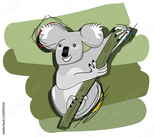 Koala sur une branche