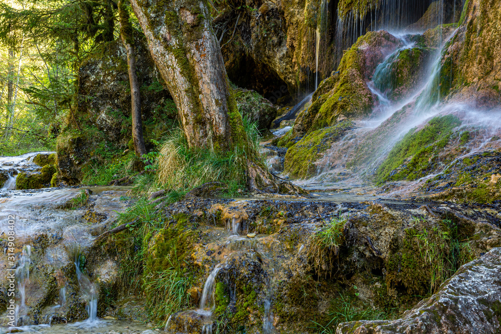 Fototapeta premium Wilde Vegetation am Fuße der Schleierfälle