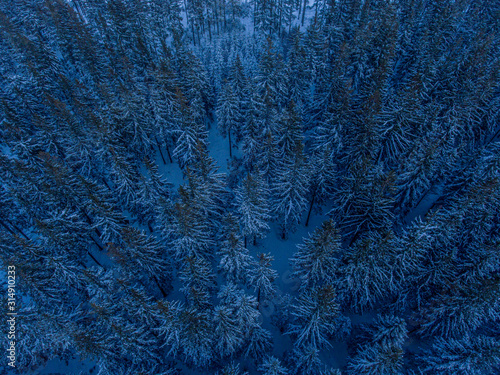 Top view of snowy trees.