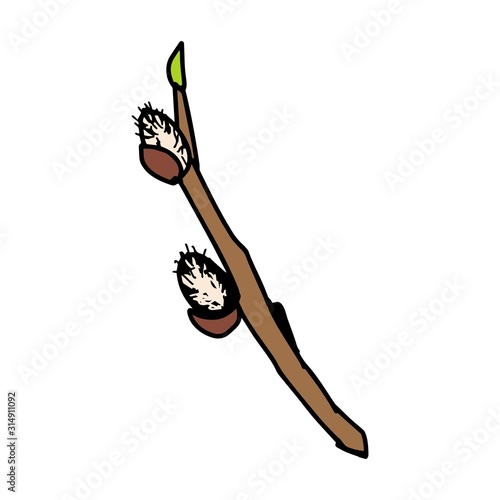 Sprig of willow in sketch cartoon style isolated on white background. Sign vector