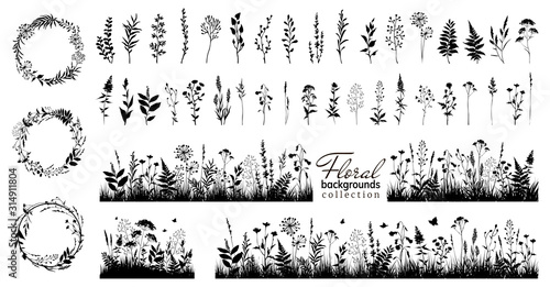 Fotografia Big floral collections of black silhouettes of meadow herbs, floral backgrounds and wreaths