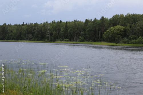  Lake with water lilies