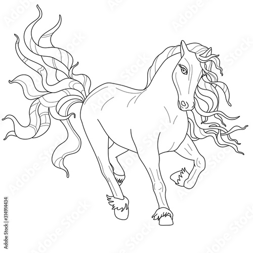 Horses coloring pages. Image of a horse in line art style.