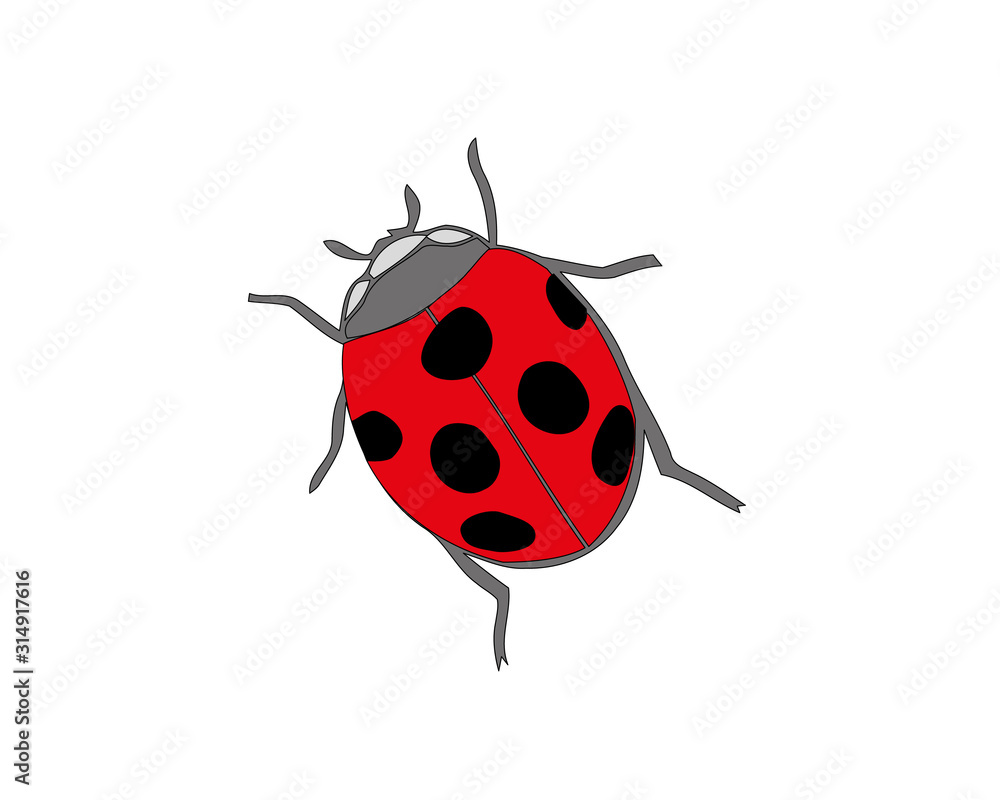 Ladybird on white background. Cute cartoon ladybug icon. Ladybird on white background. Cute cartoon ladybug icon.