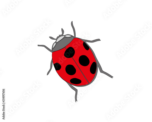 Ladybird on white background. Cute cartoon ladybug icon. © Roman's portfolio