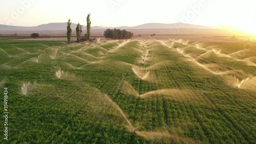 Irrigation sprinkler  systems  water are working in grass field. Aerial view. Spring and summer icon. photo