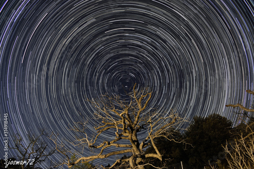 CIRCUMPOLAR