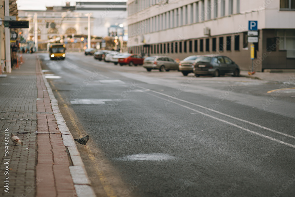 empty city defocus the road, city street without people empty city defocus the road, city street without people