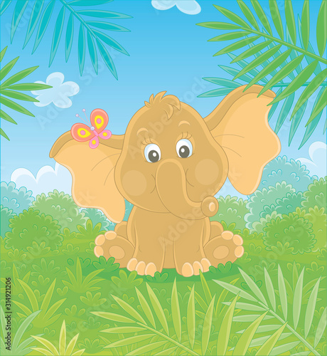 Little baby elephant sittin...