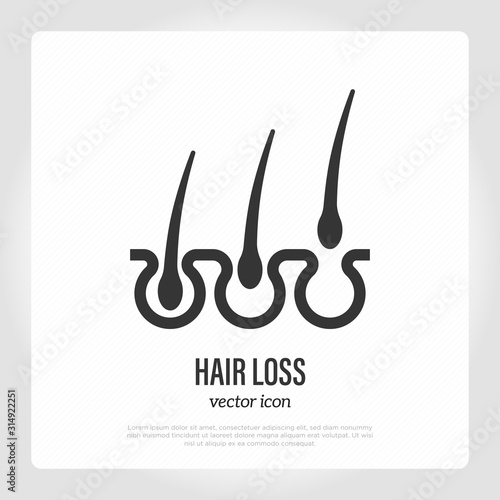Trichology: hair loss thin line icon. Hair follicles in different cycles. Vector illustration.