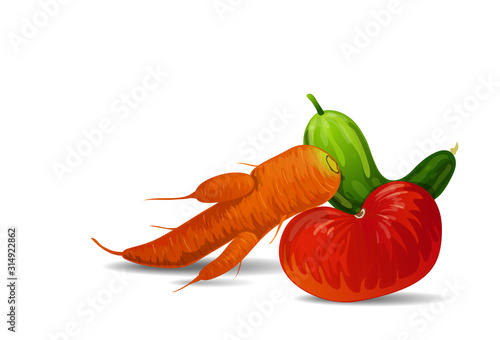 Vector illustration of fashionable ugly organic tomato, carrot and cucumber isolated on white background. Ugly food concept, ugly forms of organic vegetables. 