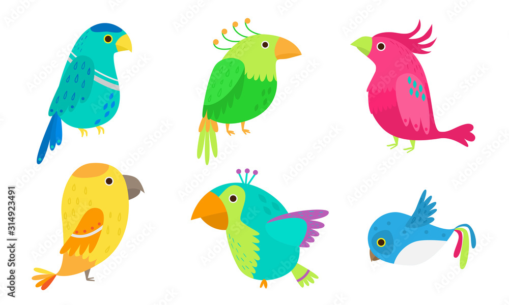 Naklejka premium Set of colorful tropical birds and parrots vector illustration