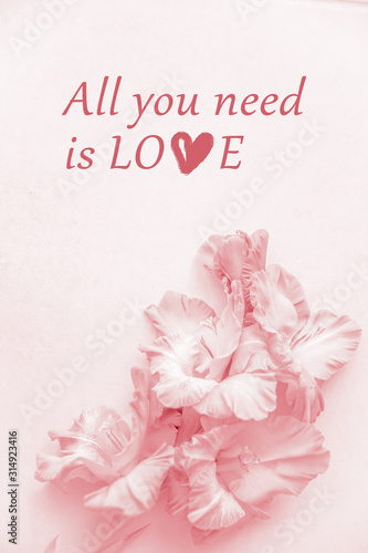 All you need is love. Postcard