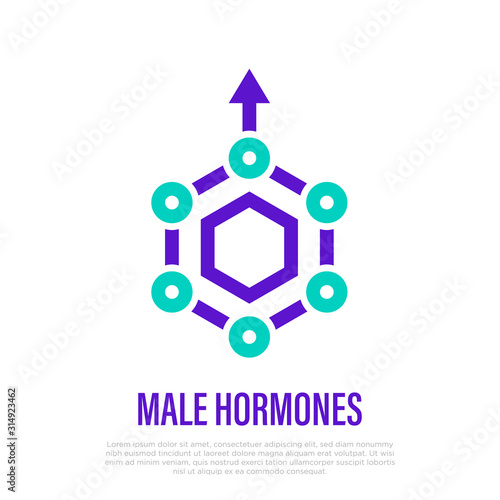 Male hormone thin line icon. Testosterone. Laboratory research. Modern vector illustration.
