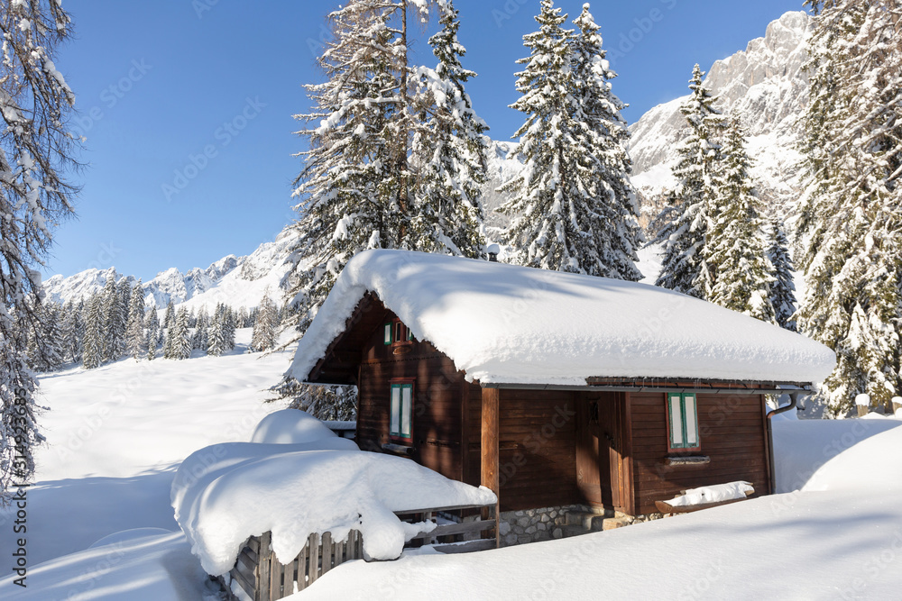 Picturesque winter scene with traditional alpine hut and snowy forest. Sunny frosty weather with clear blue sky