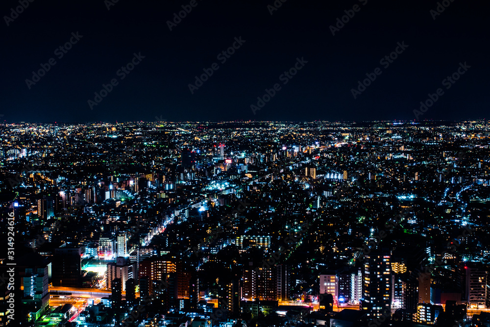 Fototapeta premium Japan Skyview Skydeck Tokyo