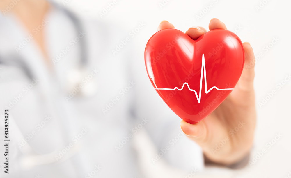 The doctor is holding and showing a red heart. The doctor is holding and showing a red heart.