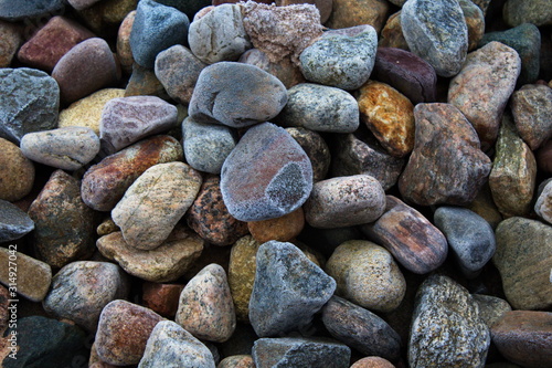 Multi-colored stones in the frost covered with hoarfrost