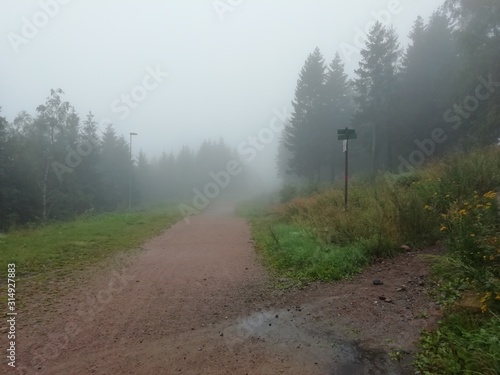 Landschaft Norwegen Reisen