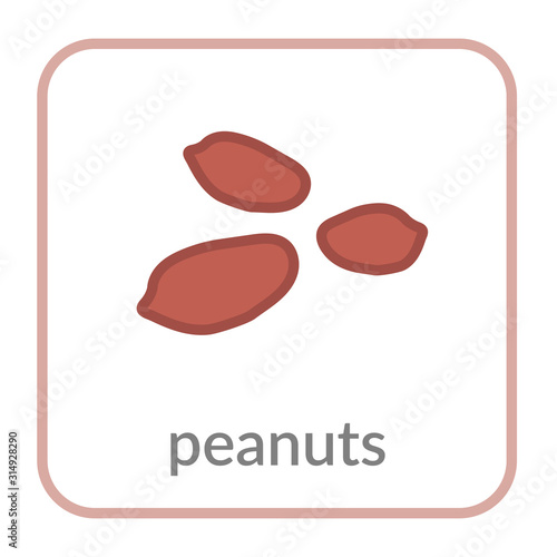 Peanut seed icon. Brown groundnut outline flat sign, isolated white background. Symbol health nutrition, eco food protein. Contour linear shape. Sweet nutritious organic. Cartoon. Vector illustration