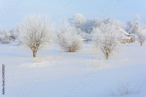 Wallpaper Mural Beauty of nature in winter Torontodigital.ca