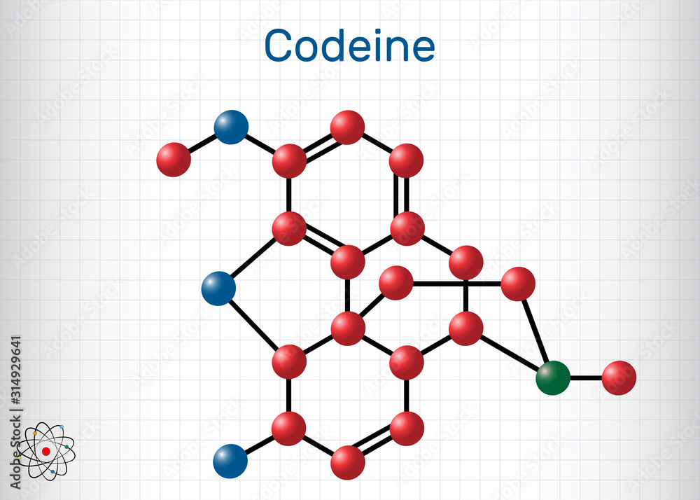 Codeine, opioid analgesic molecule. It is used as a central analgesic, sedative, hypnotic, antinociceptive, antiperistaltic agent. Sheet of paper in a cage Codeine, opioid analgesic molecule. It is used as a central analgesic, sedative, hypnotic, antinociceptive, antiperistaltic agent. Sheet of paper in a cage