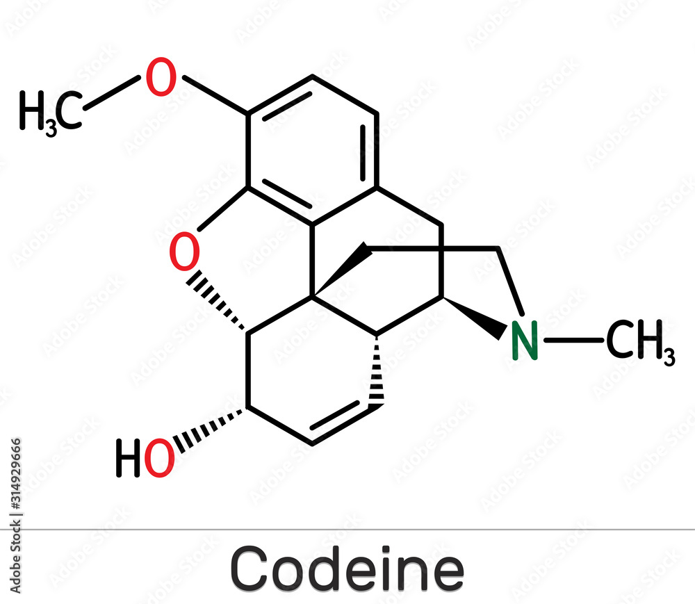 Codeine, opioid analgesic molecule. It is used as a central analgesic, sedative, hypnotic, antinociceptive, antiperistaltic agent Codeine, opioid analgesic molecule. It is used as a central analgesic, sedative, hypnotic, antinociceptive, antiperistaltic agent