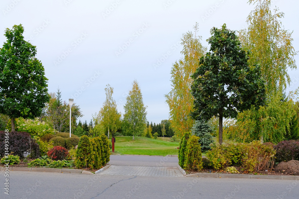 The road in the park along ornamental shrubs and trees on an autumn sunny day.