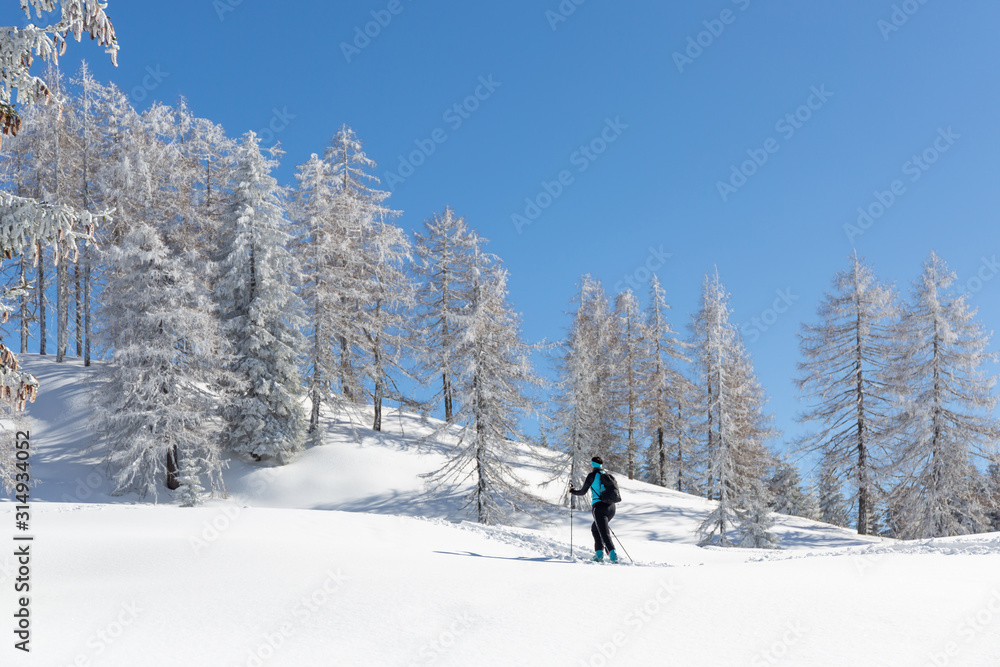 Ski mountaineer on touring skis among white trees. Winter activities in the Austrian Alps