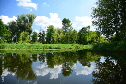 Fototapeta Naklejka Na Ścianę i Meble -  Wycieczka brzegiem rzeki wśród zielonych drzew i krzewów w letni pogodny dzień.
