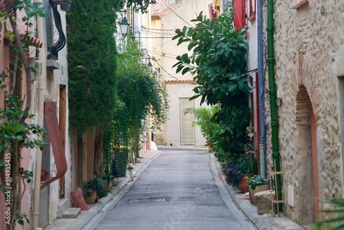 Greened alley of an old city photo