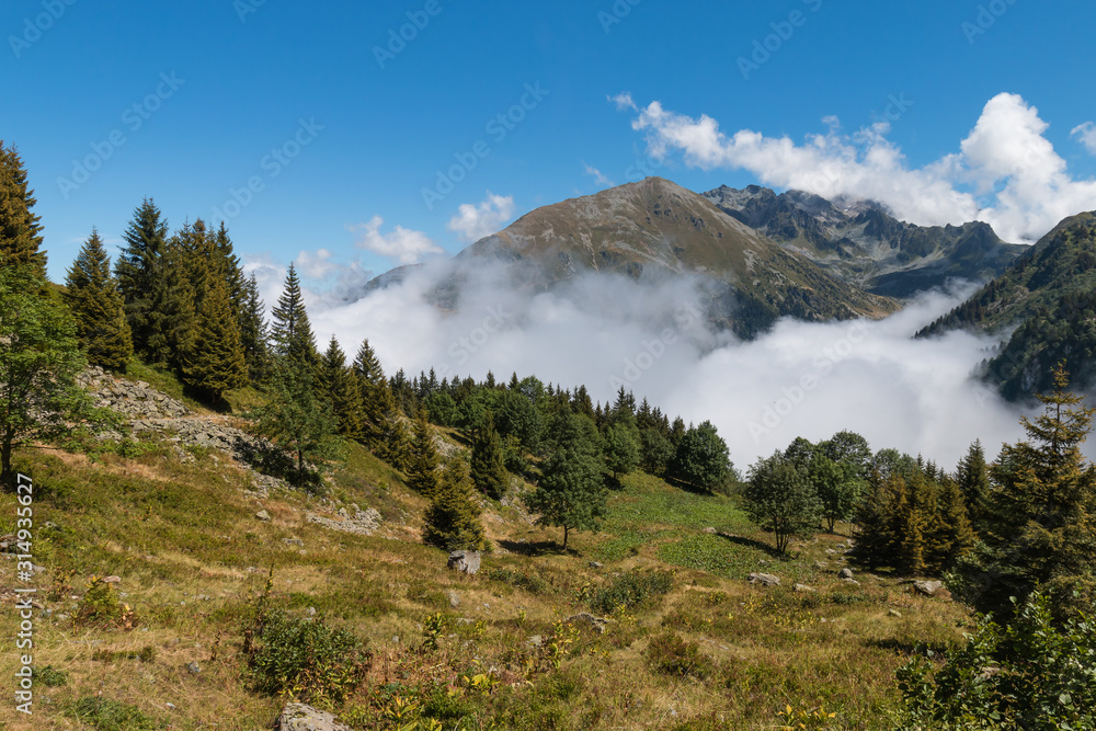 Obraz premium Vers le lac de crop