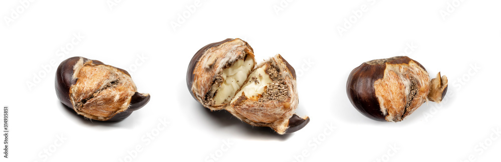 Edible Sweet Chestnuts, Healthy Autumn and Christmas Food Edible Sweet Chestnuts, Healthy Autumn and Christmas Food